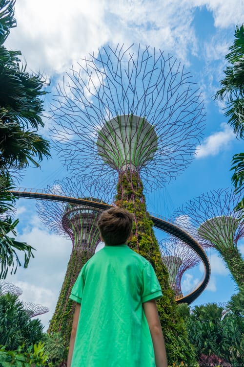 Singapore with kids - Gardens by the Bay