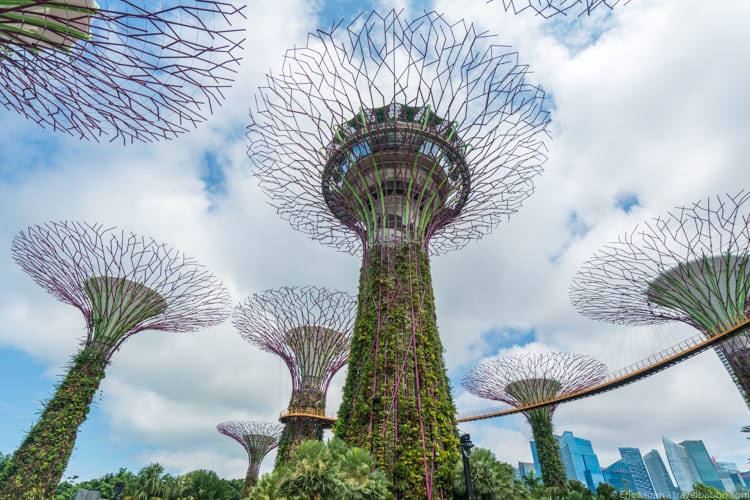 Singapore with kids - Gardens by the Bay