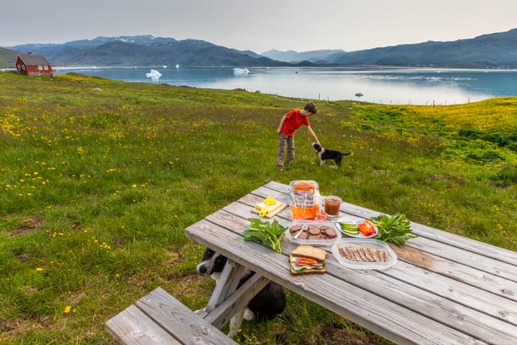 Around the world - The sheep dogs were very interested in our sandwich fixings in Greenland! 