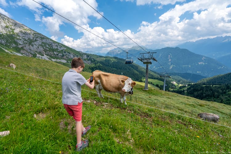 Dolomites with kids: You can't pass a cow without taking a picture...