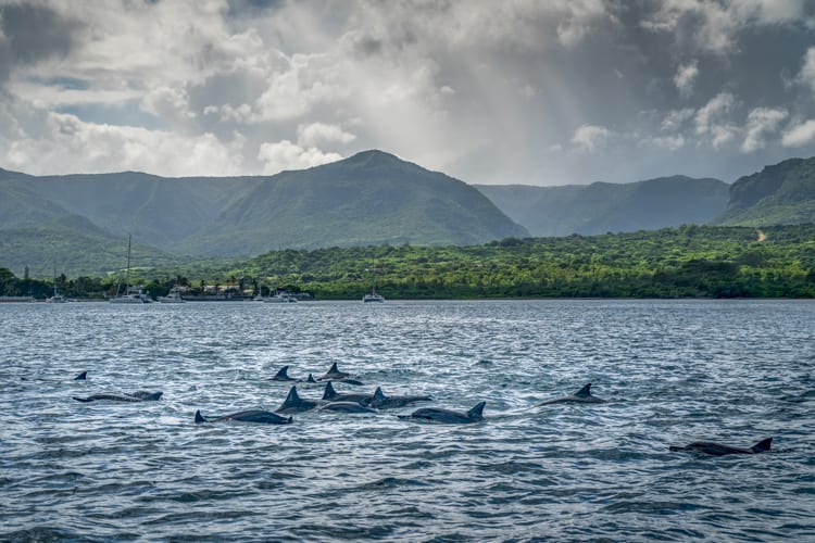 Mauritius - Photo Credit: Daniel Malinowski 
