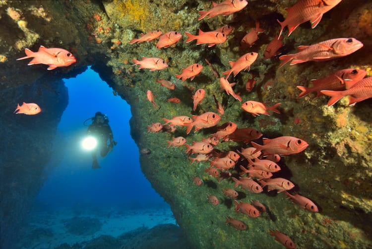 Mauritius - Amazing diving! Photo Credit: Pascal Kobeh 