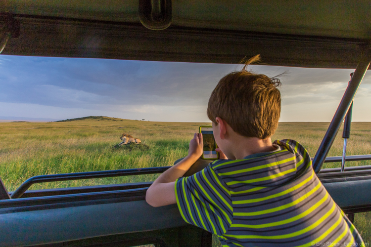Safari tips: Towards the end of our trip, my son and I had the lions to ourselves whenever the girls opted out of a game drive. This was in the Masai Mara. 