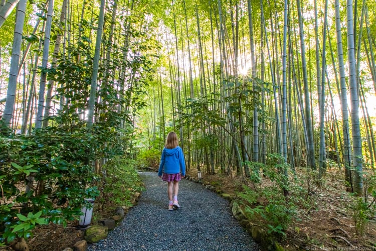 Kyoto with kids - Stumbled upon this bamboo path a few minutes away from the bamboo forest