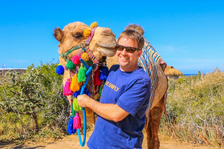 Cabo with kids - Camels in Los Cabos! The camels are actually rescued from Mexican circuses.