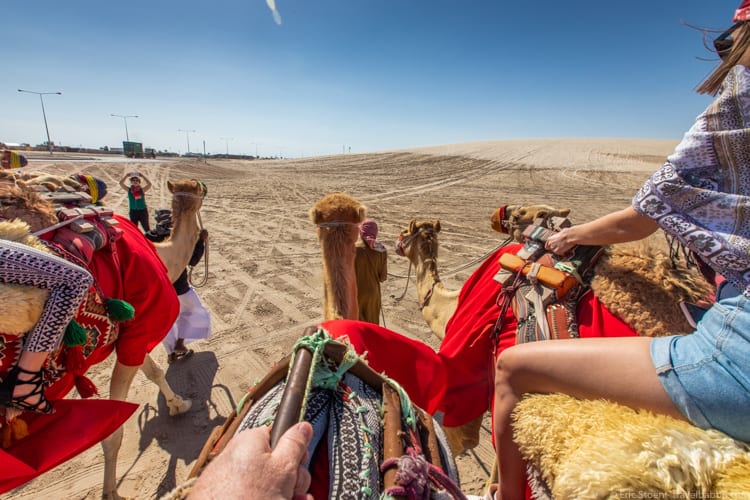 Things to do in Qatar - A (very short) camel ride in Qatar