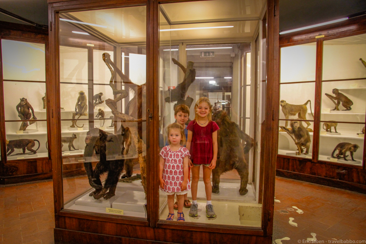Things to do in Florence with kids - At the Museum of Natural History