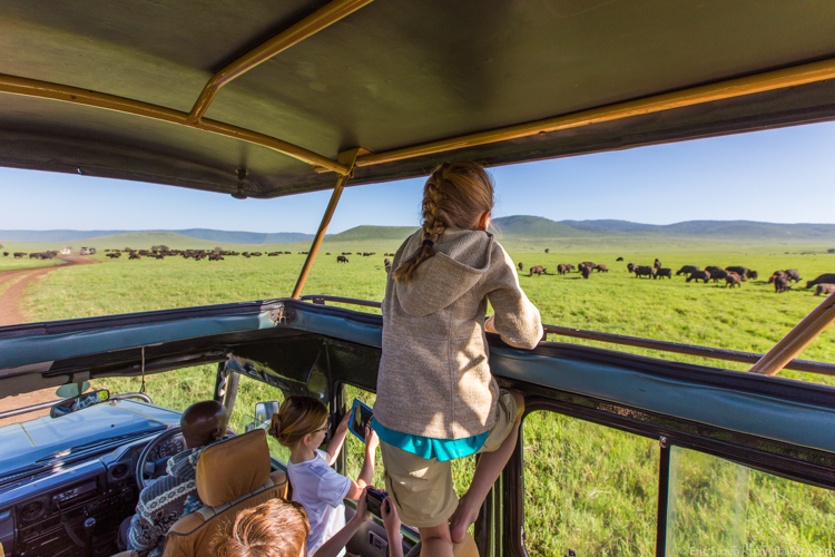 Best Places to Travel with Kids - Buffalo viewing in Tanzania’s Ngorongoro Crater