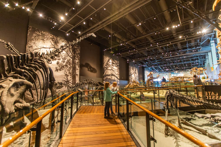 Things to Do in Salt Lake City - Spending more time in the dinosaur wing 