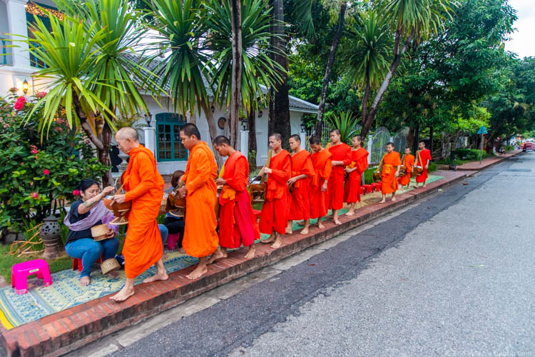 Asia with kids - Laos - Monks in Luang Prabang gathering donations of rice