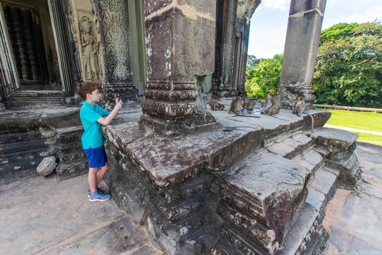 Asia with kids - Cambodia - Photographing monkeys at Angkor Wat