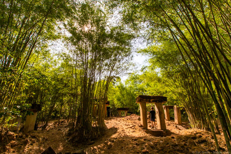 Asian countries - Cambodia - Ruins in a bamboo forest outside Siem Reap. We were the only people there.
