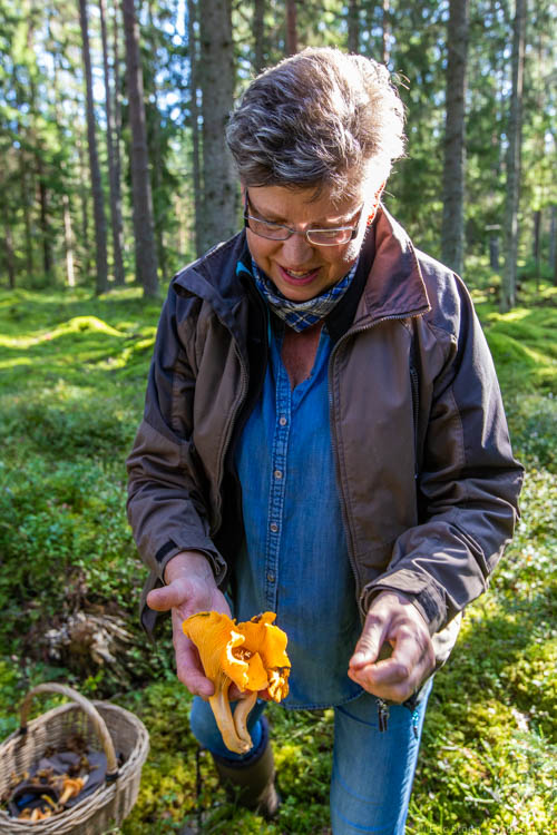 Sweden with kids - Hellen introducing us to her favorite hidden spot for mushroom picking