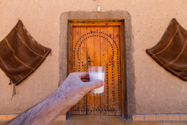 Morocco with Kids - Camel milk on the way to the desert