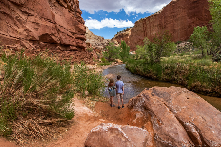 SW USA Road Trip Planner - Near the Hickman Natural Bridge trailhead