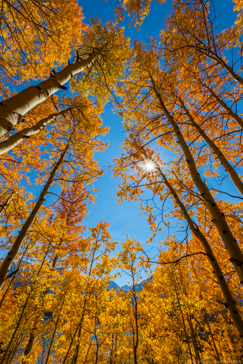 Road Trip Tips - Fall colors outside Telluride