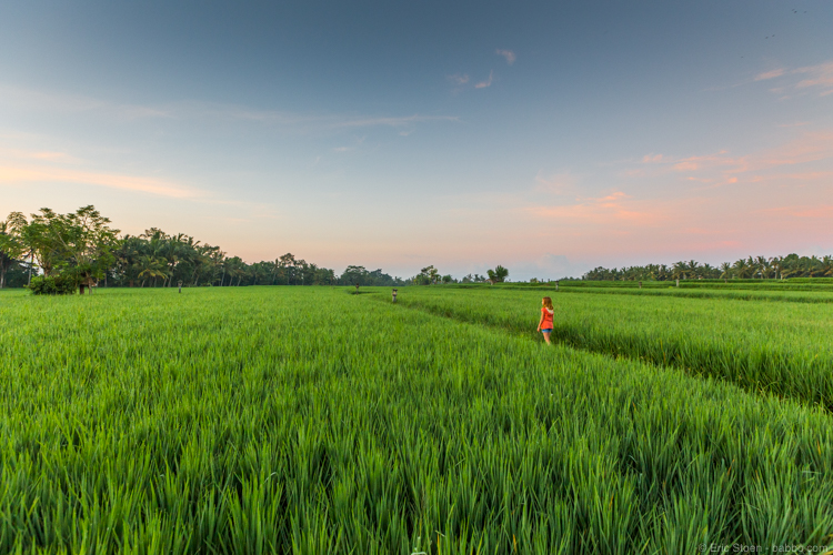 Best vacations for kids: Walking through rice fields near Ubud, Bali