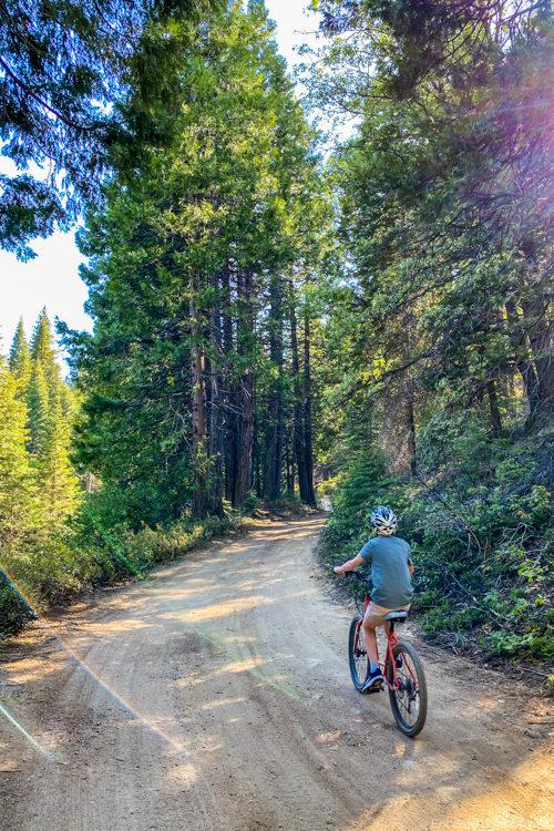 Colorado Road Trip - Biking from Tenaya Lodge