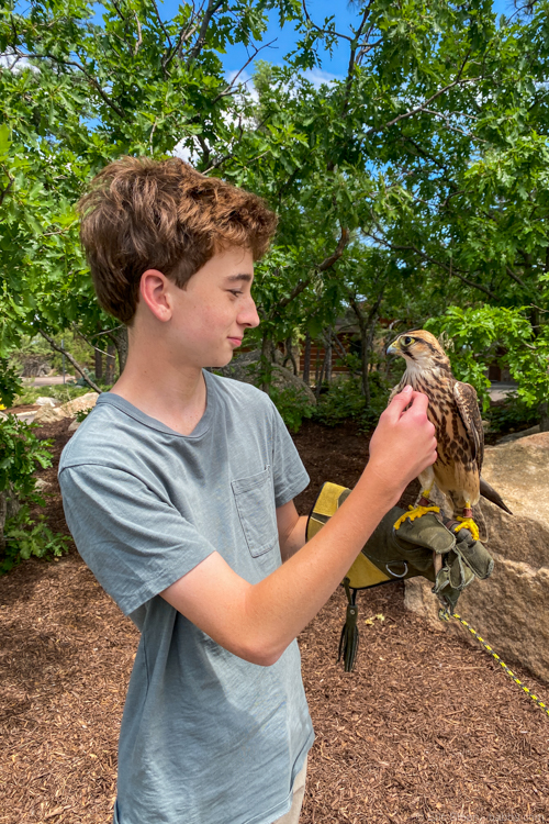 Broadmoor and Ecolab: My son holding a hawk