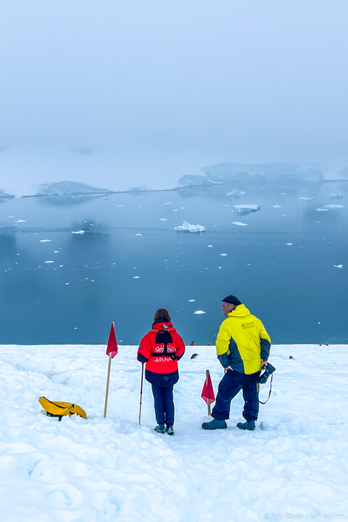Adventures By Disney Antarctica - My daughter waiting with a penguin crossing guard who was monitoring the penguin highways and telling guests when they could proceed