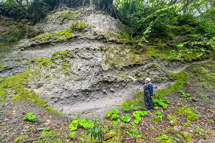 Hokkaido Japan: In the moss corridor: one of our guides showing soil layers tied to different volcanic eruptions