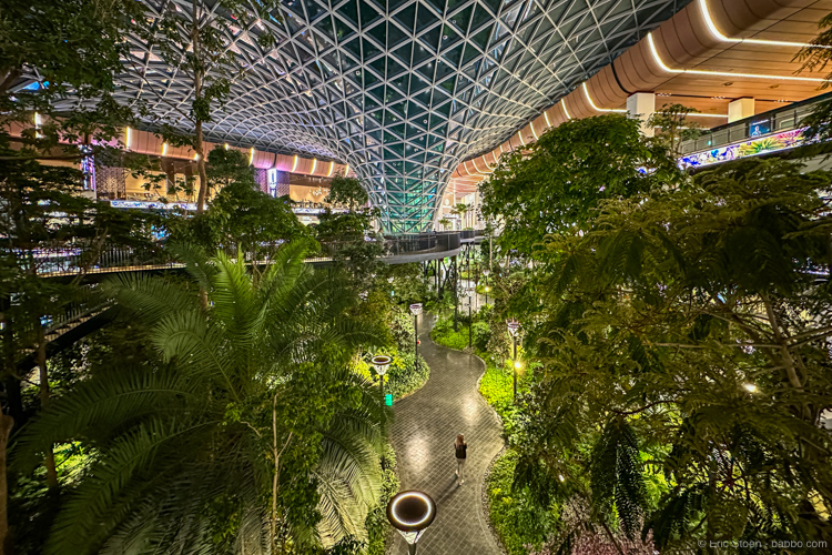 The Seven Continents: Doha Airport's tropical garden, The Orchard