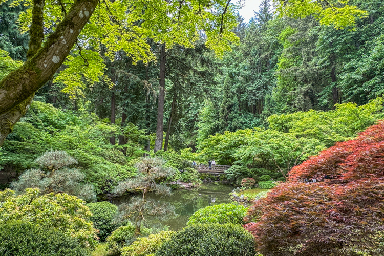The Portland Japanese Garden. I booked my Portland hotel through Southwest's hotel portal and received a nice bonus. 