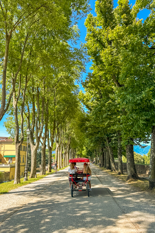 We love renting surreys and bicycles and riding around Lucca atop its 400-year-old city walls