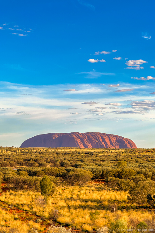 Uluru from the Wintjiri Wiru platform