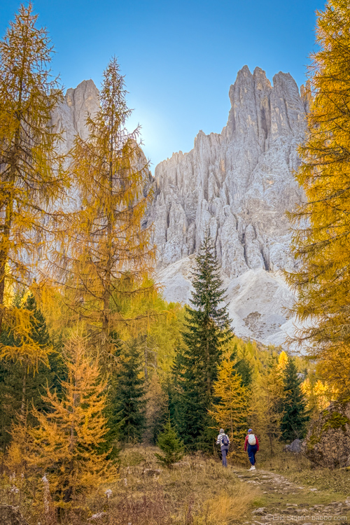 The larches were amazing!